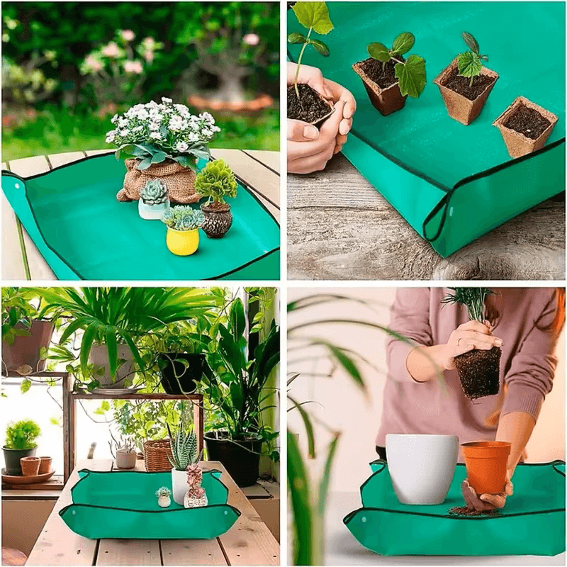 Plantify™ Plant regeneration Mat