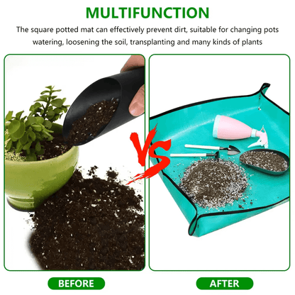 Plantify™ Plant regeneration Mat