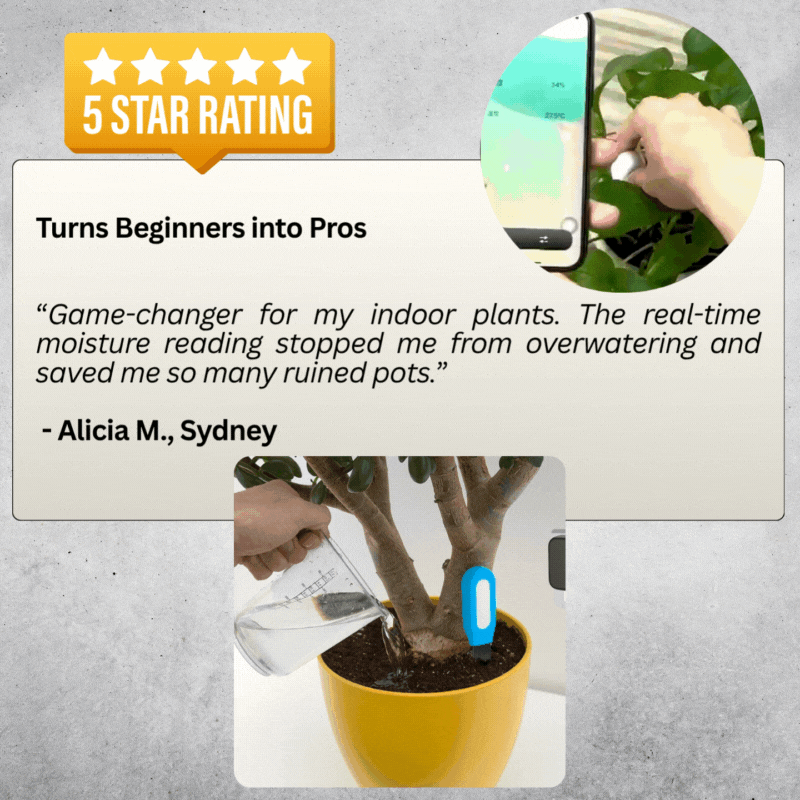 Plantify-JoY™ 24/7 Soil Health Monitor