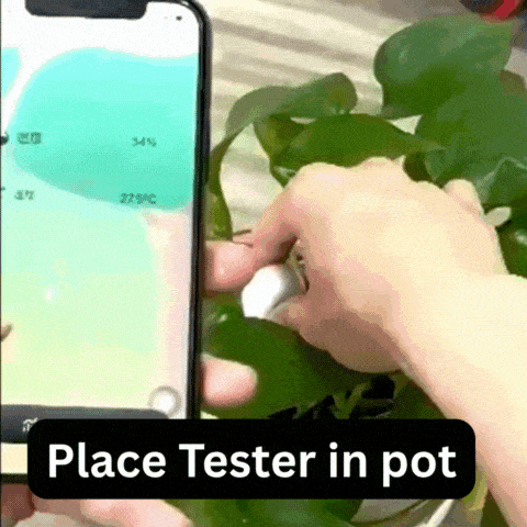 Plantify-JoY™ 24/7 Soil Health Monitor