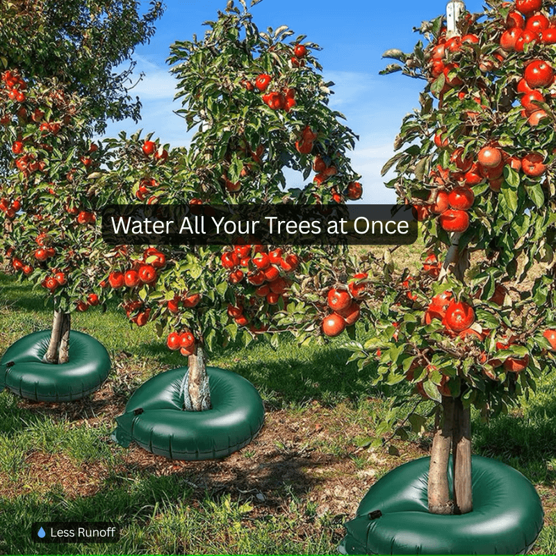 Plantify™ Slow Release Tree Watering Kit - Bulk Order