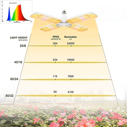Plantify™ Phyto Lamp GrowLights