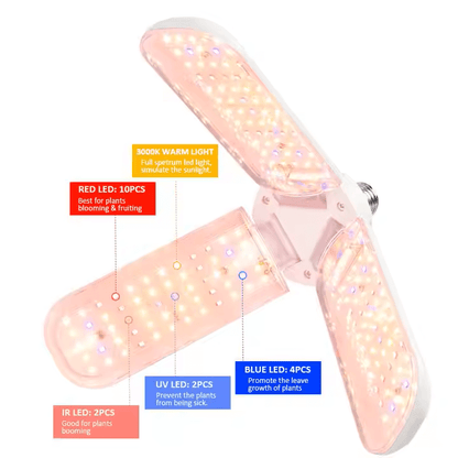 Plantify™ Phyto Lamp GrowLights