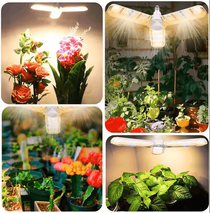 Plantify™ Phyto Lamp GrowLights