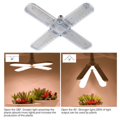 Plantify™ Phyto Lamp GrowLights